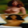 Sex Amarillo