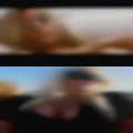 Female fuck buddy near Mena